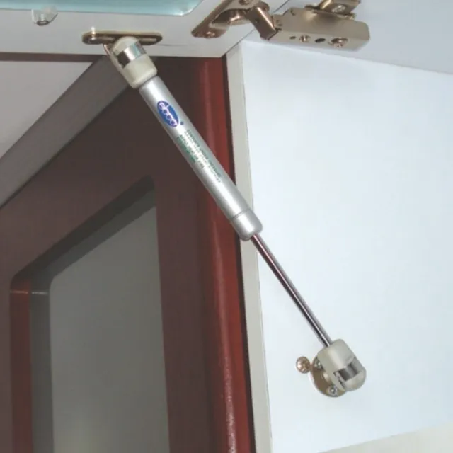 Ebco Pro-lift (Gas pump)